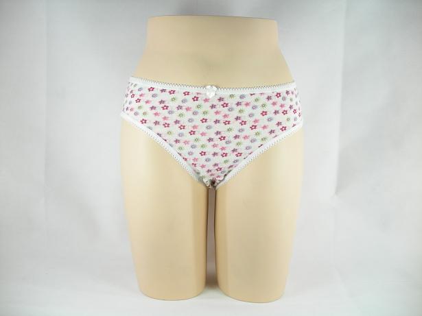 Women's Briefs (Lace Floral Print) 